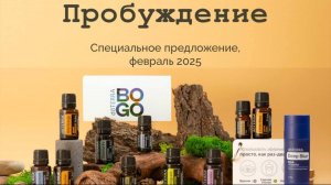 БОГО-ПРОБУЖДЕНИЕ, февраль 2025