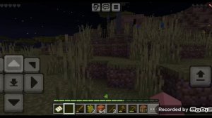 выживание в Майнкрафте биом саванна.