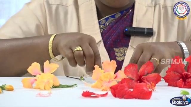 CBSE-Class VI-Science-Getting to know plants-Part-4 смотреть онлайн