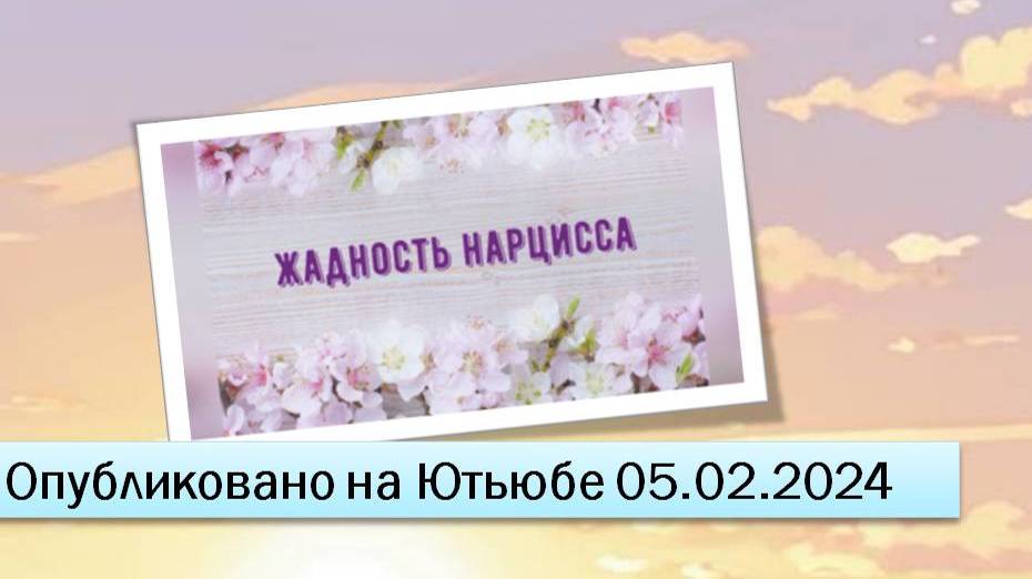 Жадность нарцисса (05.02.2024)