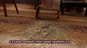 Измена Жены с в два раза старше… но в ЭТОМ он был лучше меня! - Удивительные истории - Драмы Судьбы