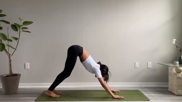 Day 3 - Beginner Yoga _ RISE & SHINE YOGA CHALLENGE ☀️