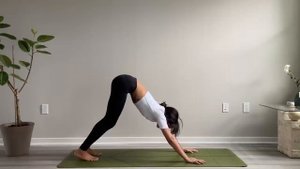 Day 3 - Beginner Yoga _ RISE & SHINE YOGA CHALLENGE ☀️