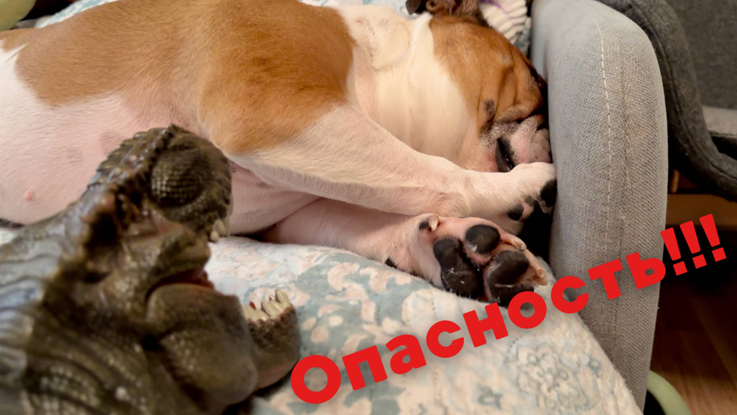 Опасность!!!