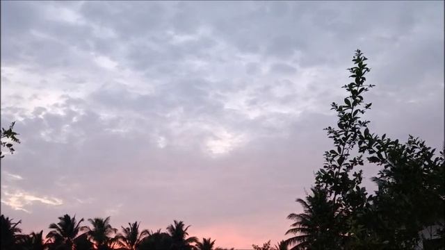 Муж решил развестись со мной, потому что не собираюсь смотреть за его психически неустойчивой мамой смотреть онлайн