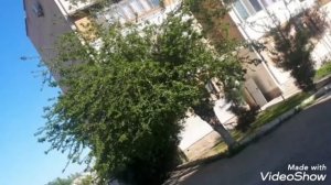 ЯНГИЮЛЬ сегодняHD