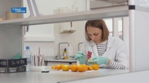 Страна советов. Опасность БАДов для похудения (выпуск 32)