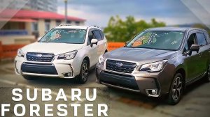 ИДЕАЛЬНЫЙ АВТО ДЛЯ ДАЧИ - SUBARU FORESTER S-LIMITED 2018
