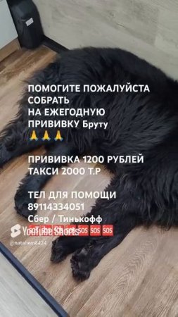 ЧЕЛОВЕК ПОМОГИ 🙏🆘