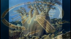 Красота мира