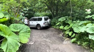 Дорога на мыс Евстафия, Сахалин