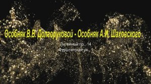 Особняк Долгоруковой - Шаховского