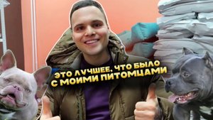 🚨 Не дайте трагедии случиться! Как уберечь здоровье вашего питомца!?