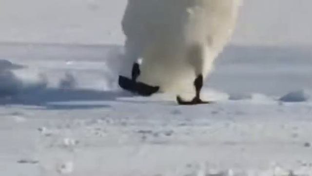 Кубалар.....