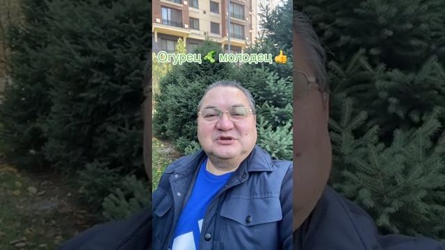 Огурец Молодец!! 💥💥#еда #огурцы