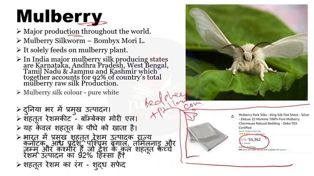 Sericulture and Important Questions | Types of Silk and Silkworms | Sericulture of Silkworm