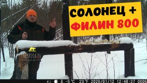СОЛОНЕЦ + ФИЛИН 800 !!!