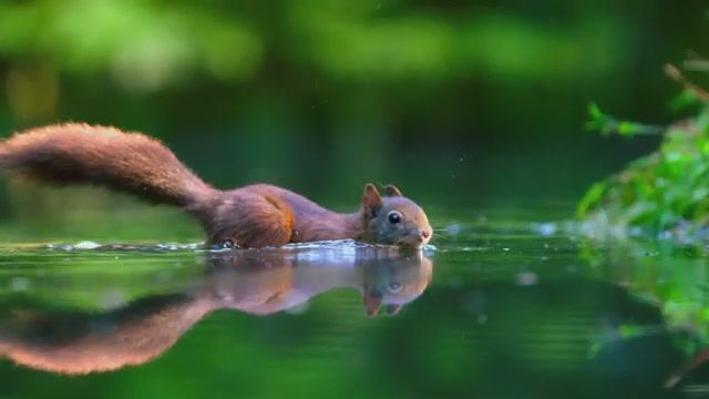 Красивая и удивительная природа!...