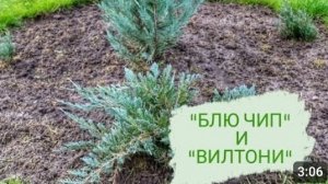 ПРОДОЛЖАЮ НАБЛЮДАТЬ И КОНСУЛЬТИРОВАТЬСЯ. 18.10.2023г.