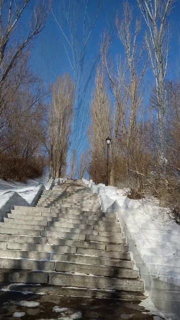 ЗИМА В САРАТОВЕ
