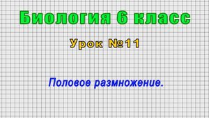 Биология 6 класс (Урок№11 - Половое размножение.)