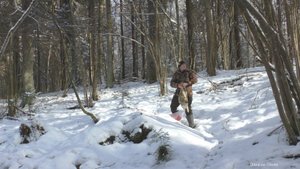 Кадры с фотоловушки. Активность зверей на кормушке. Жизнь в лесу.