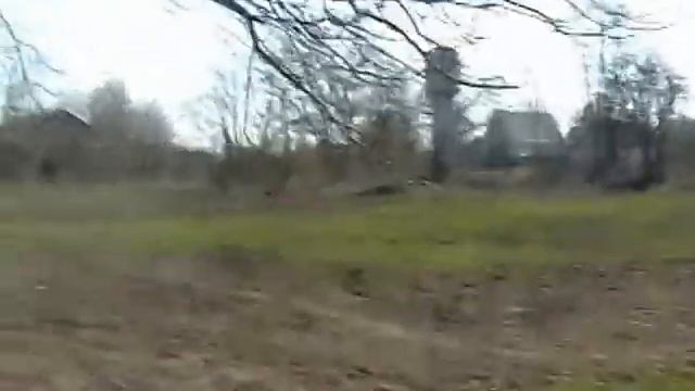 Трилесы