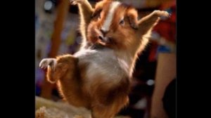 Lara Fabian - Comme ils disent