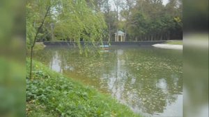 Бирюлёвский дендропарк , пруды 15.09.2017