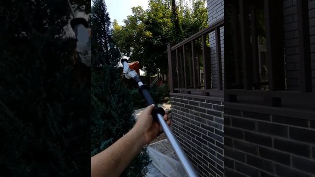 композиция из хвойников.