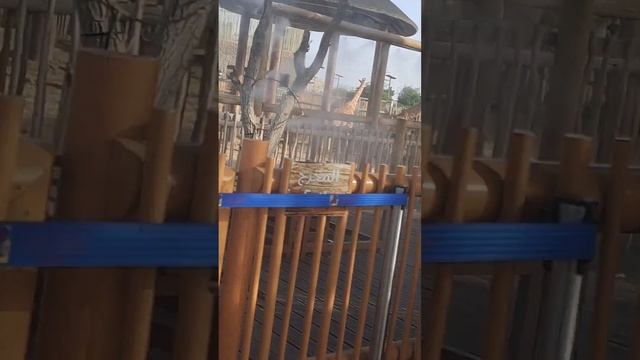 Влог в сафари парке🦒/ Уточки не пошли туда?!😢 смотреть онлайн