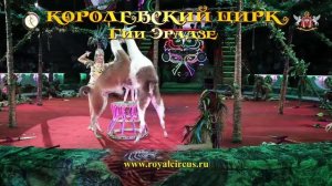 Королевский цирк Ижевск