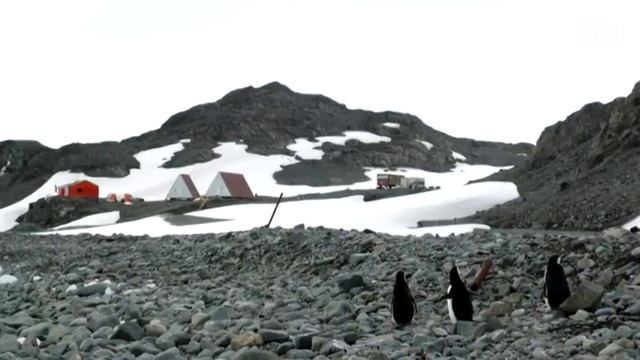 Човекът, който лекува учените на Антарктида смотреть онлайн