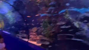 Турция | Часть 7. Antalya Aquarium | Antalya’s Zoo in 2021