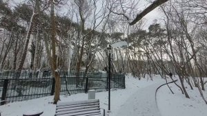 🤩ПРЕКРАСНЫЙ ЗАСНЕЖЕННЫЙ КАЛИНИНГРАД ❄️🥰 СОВЕРШИЛ БОЛЬШУЮ ПРОГУЛКУ ПО ЗЕЛЕНОГРАДСКУ🌊👍