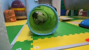 Сенсорная интеграция с дефектологом Тарасовой Мариной