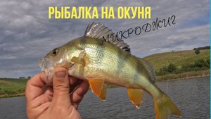 ЖДУ ЛЕТА И ВСПОМИНАЮ ПРОШЕДШЕЕ. МИКРОДЖИГ - РЫБАЛКА НА ОКУНЯ. / MICROJIG - PERCH FISHING