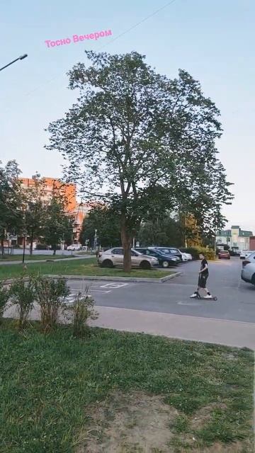 г. Тосно 25 июля 2022 смотреть онлайн