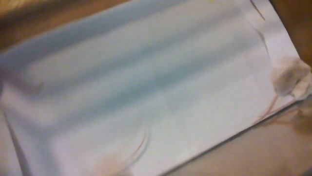 August 9, 2015 - Lena's 23 day old pups смотреть онлайн