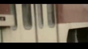 HOMO POETICUS (МЭРС _ КРУШИ) -  Птицы (2012)