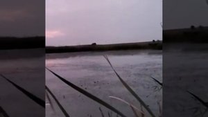 Астраханская область охота на  водоплавающею дичь 2021 ох-ва Подстепное