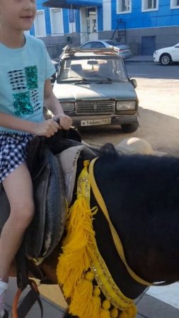 29 июля 2024 г.