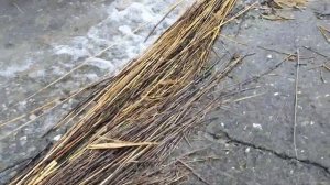 Мертвые утки на водохранилище!  Апанасенковский район, Киевка.