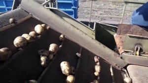 Е686 уборка картофеля