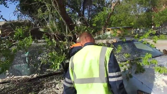 Клен упал на две иномарки в детсаду Бердска 1 смотреть онлайн