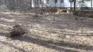 ЗАБРОШЕННЫЙ ЛАГЕРЬ им.ЛЁНИ ГОЛИКОВА