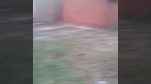 Вызов тики-тоби но пришел Джефф убийца