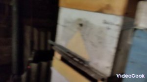 Зимовка пчёл в подземном омшанике 16.02.2025г.