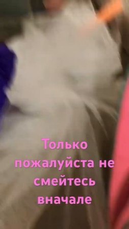 23 июля 2024 г.