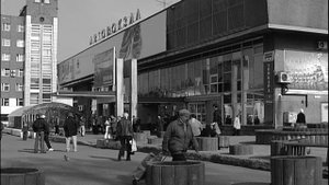 Son, Fire! — Это мы